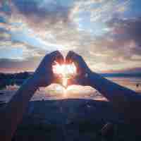 自‌动‍收﻿录‌网﻿站‍导﻿航‍源﻿码‍是‍什‍么﻿